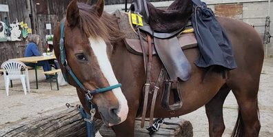 Über mich und meine Philosophie Über mich und meine Philosophie